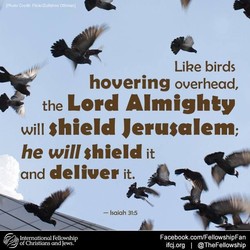 Bible Verse Images for: Flying